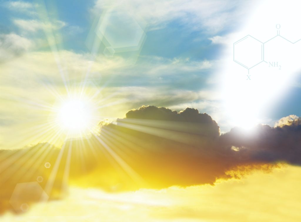 Consciousness and Enlightenment